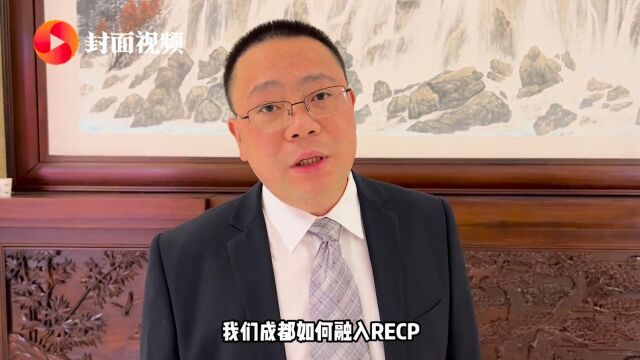 成都市人大代表刘俊:利用好RECP条款 让更多成都造走向国际