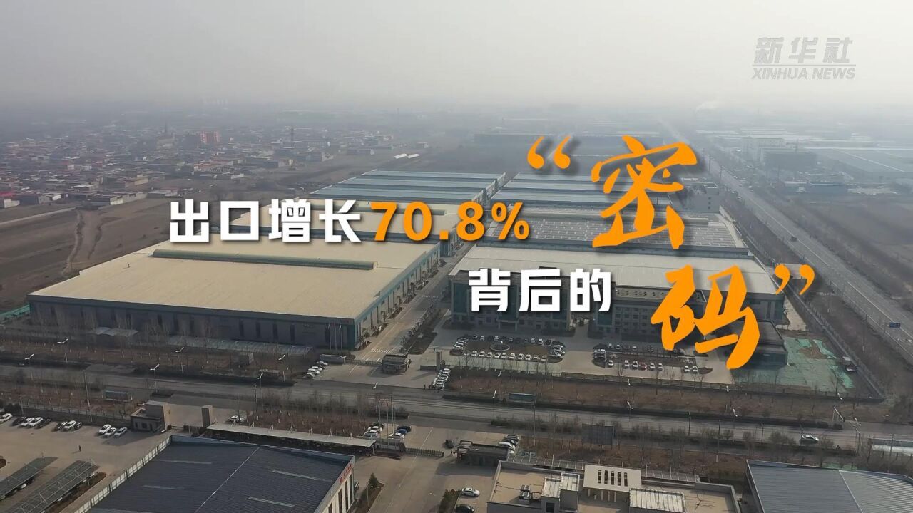 新华全媒+|出口增长70.8%背后的“密码”