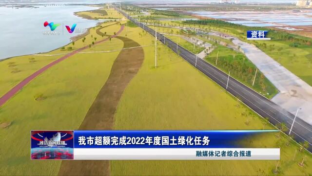 我市超额完成2022年度国土绿化任务(潍坊市广播电视台综合报道 视频审核:马言辉 李旭 张萌 张婷婷 李婕宁)