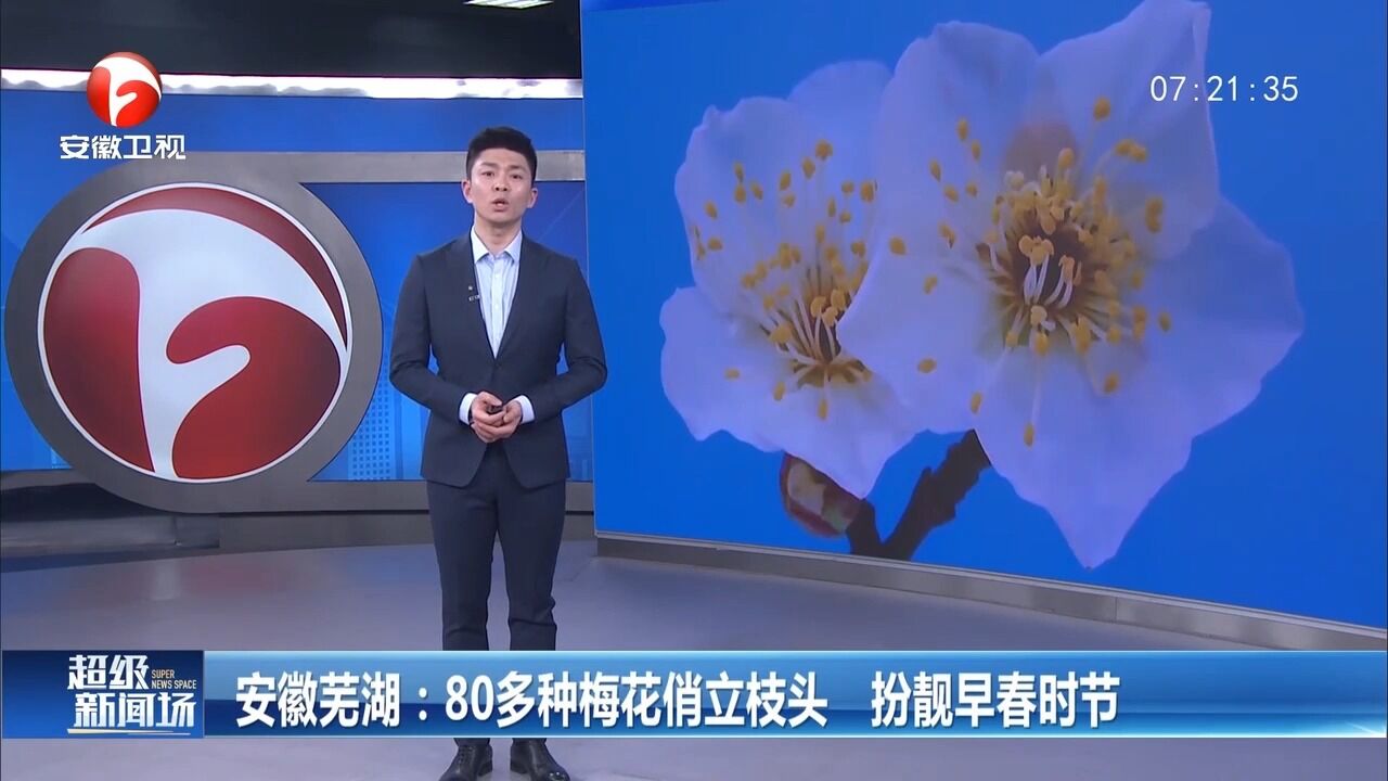 安徽芜湖:80多种梅花俏立枝头,扮靓早春时节