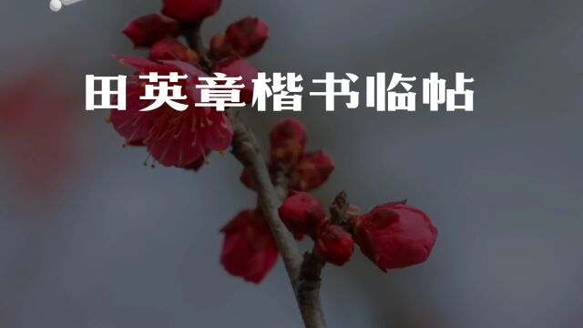 田英章楷书“七和卜”字学习