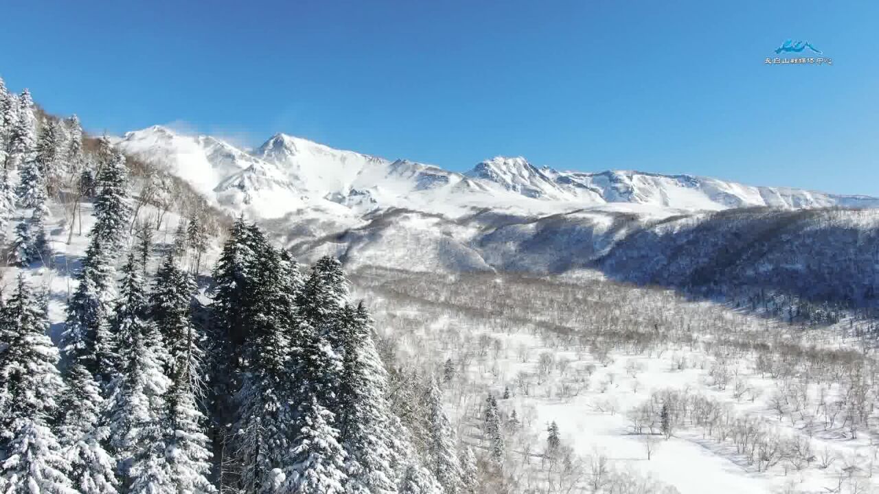 长白春雪 无限风光