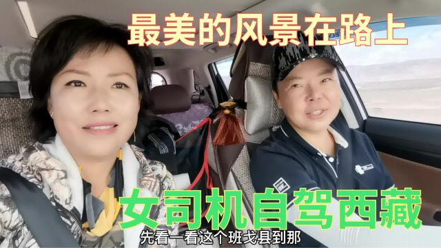 女司机因身体原因放弃去纳木措,却惊喜见到藏狐和美丽的彭措