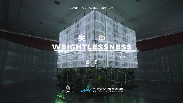 武汉双年展平行展《失重WEIGHTLESSNESS》鲁杨