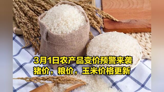 3月1日,农产品变价预警来袭!猪价,粮价,玉米价格更新