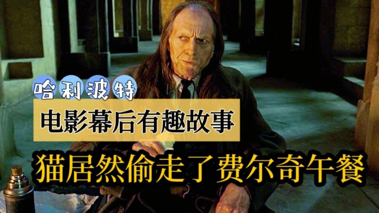 《哈利ⷮŠ波特》电影幕后有趣的故事!洛丽丝夫人居然偷费尔奇的午餐