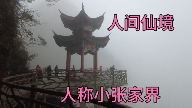 探索人间仙境人称广西版小张家界,广西北帝山养生静心游玩好地方