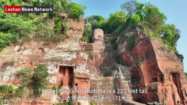 乐山新闻网(Leshan News Network)记者首次以全英文出镜