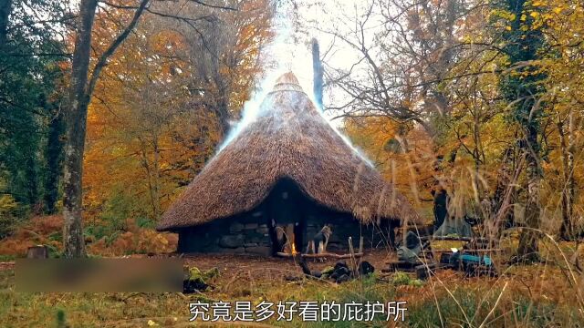 俩小伙花费两个多月时间搭建了传统圆形小屋解压#野外建造