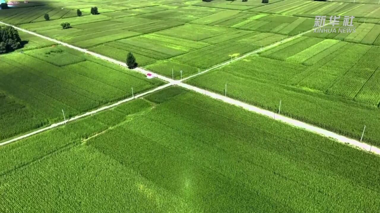 千城胜景|内蒙古土默特左旗:高标准农田建设让粮田变“良田”