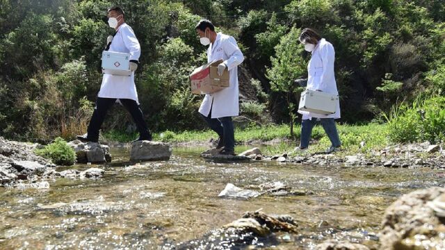 司富春:建议适度放开乡镇卫生院临床治疗限制,村医纳入全科医生