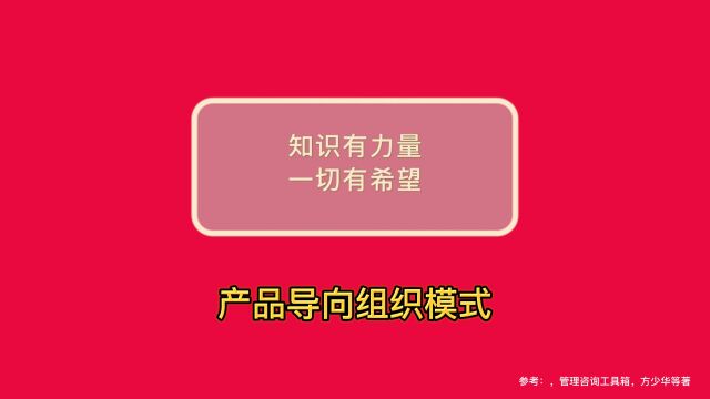 德理创新进化普及系列——产品导向组织模式