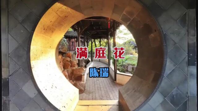 MV《满庭花》陈瑞