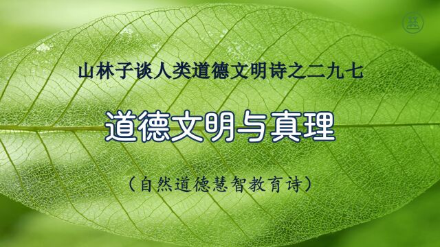 《山林子谈人类道德文明》297【道德文明与真理】鹤清工作室