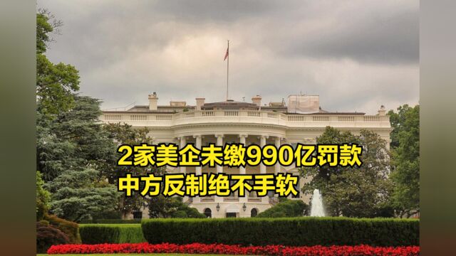 15天期限已到,2家美企仍未缴纳990亿罚款,中方反制绝不手软