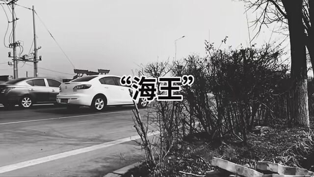 公路 #场景随拍#网抑云