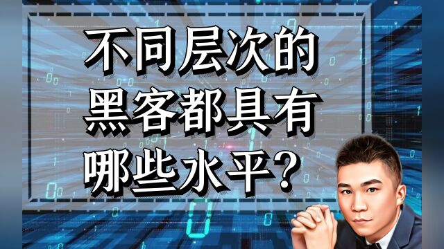 不同层次的黑客都具有哪些水平?