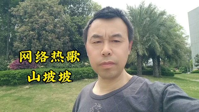 网络热歌《山坡坡》网红老乐,来自九江永修县