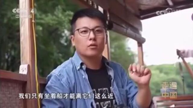 《杭州DiscoveryⷮŠ西湖》出圈了!都市快报摄影记者向中外游客推荐西湖秘境