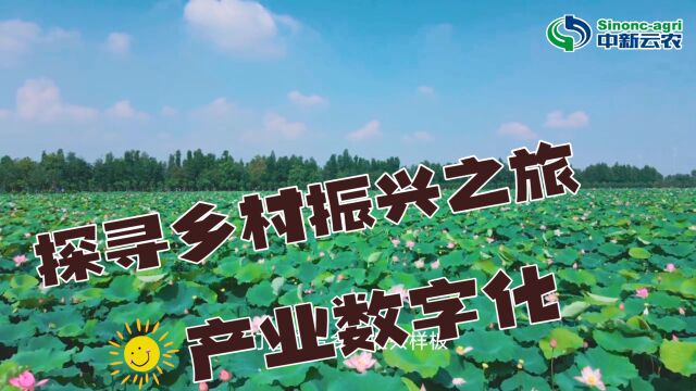 乡村振兴进行时:广昌县创新赋能,莲菌产业加“数”前行