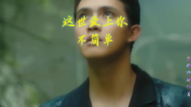 《这世爱上你不简单》越南歌曲《夜舞》音译版