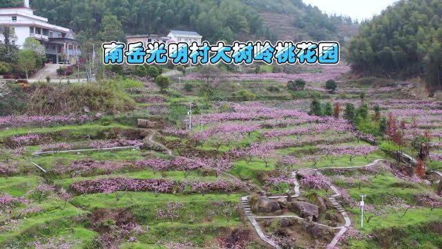 航拍大山深处的“世外桃源” 南岳光明村大树岭桃花园