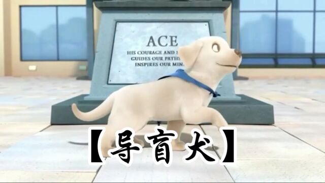 《导盲犬》