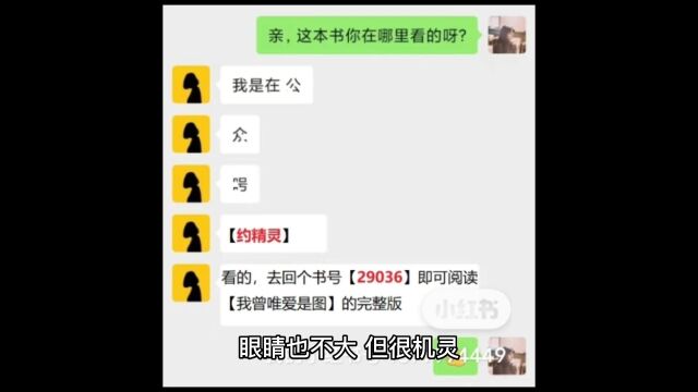 《我曾唯爱是图》高韵徐斌小说结局扁阅读【完结】