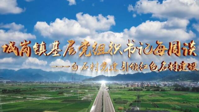 城岗镇基层党组织书记每周谈——白石村党建引领红色名村建设