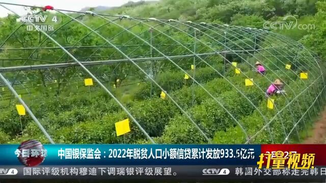 中国银保监会:2022年脱贫人口小额信贷累计发放933.5亿元