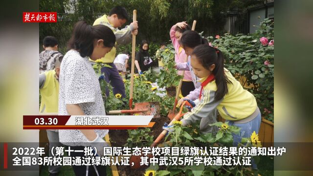 【视频】好消息传来!武汉5所小学幼儿园 通过国际生态学校绿旗认证