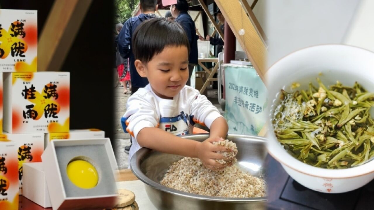 桂花糖、桂花龙井、桂花香膏……来满觉陇体验桂花的N种打开方式