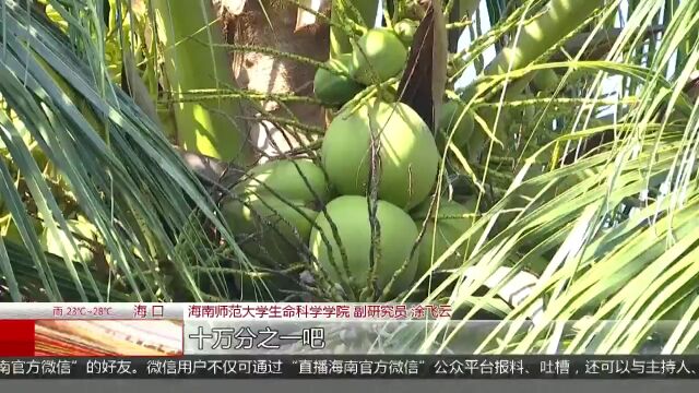 白松鼠现身海口人民公园 专家:野生白化概率十万分之一