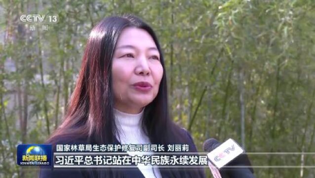 新思想引领新征程丨植树造林 建设美丽中国