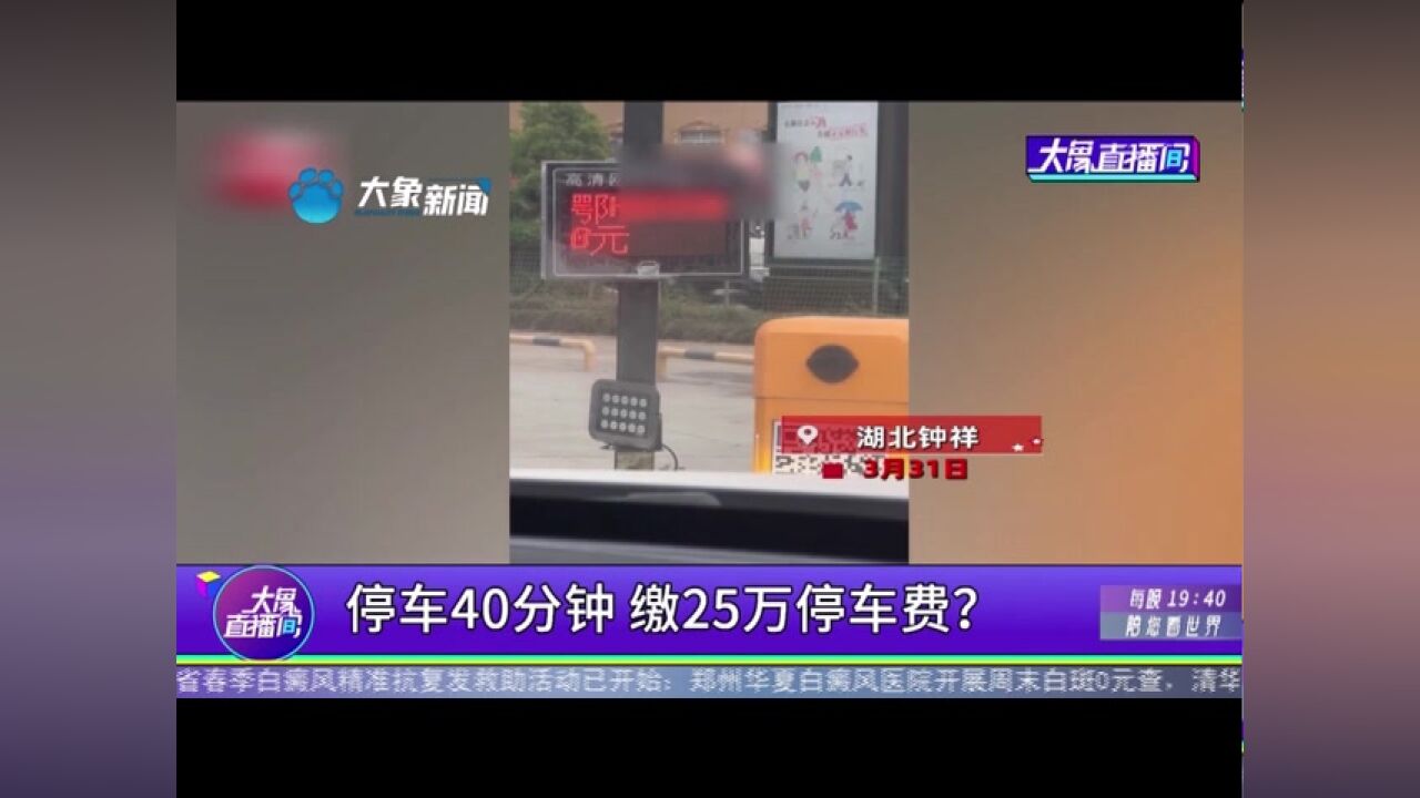 停车40分钟,缴25万停车费?