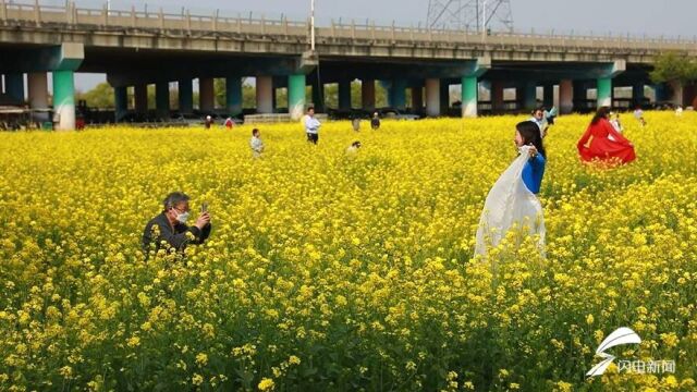 以花为媒端信有礼 兖州区第五届油菜花节开幕