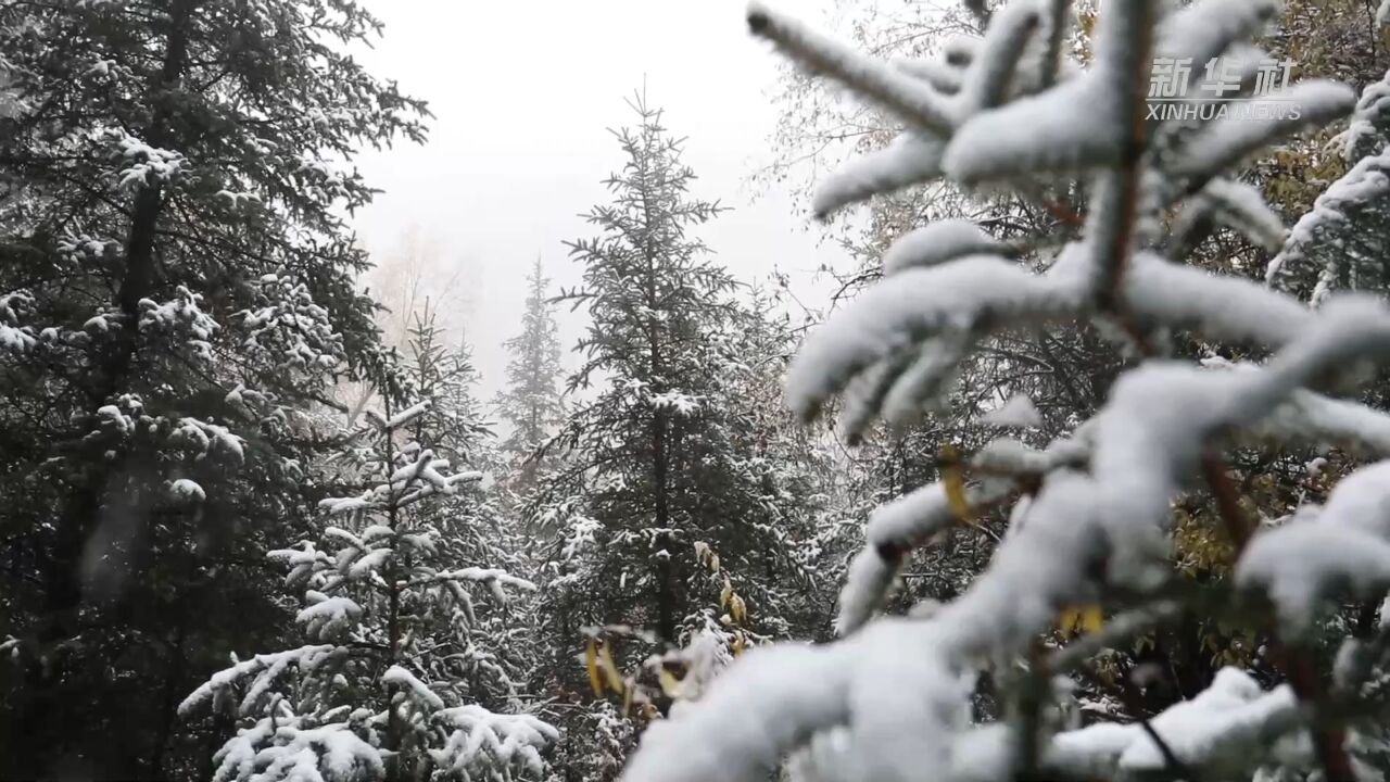 秋雪润祁连