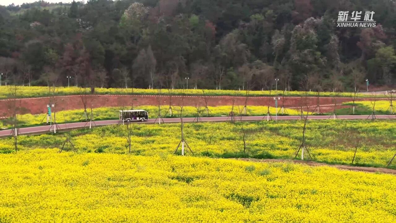 武汉江夏:废弃矿山变身生态公园