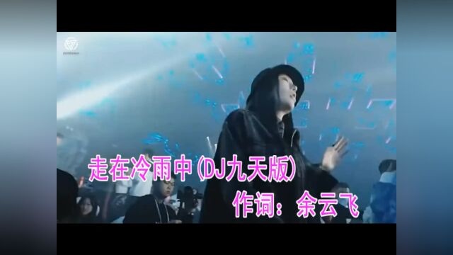 走在冷雨中(DJ九天版)