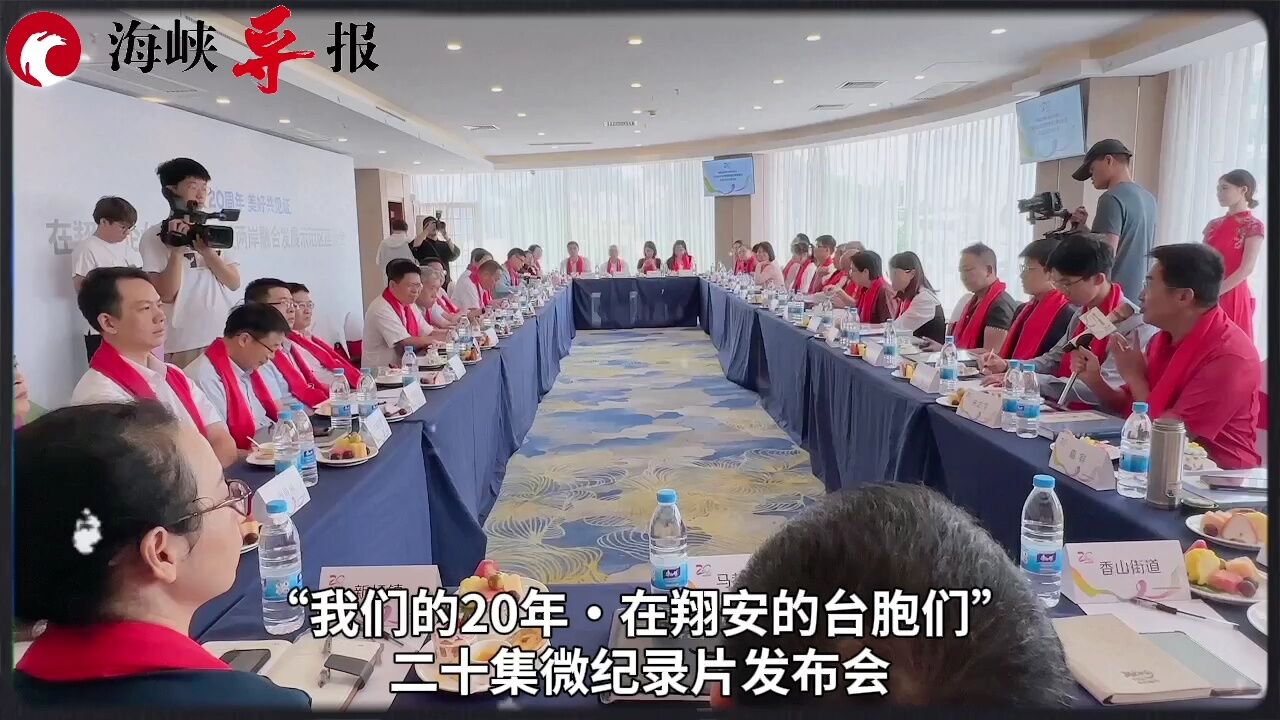 厦门翔安建区二十周年,台商协会会长韩萤焕号召台青来大陆发展