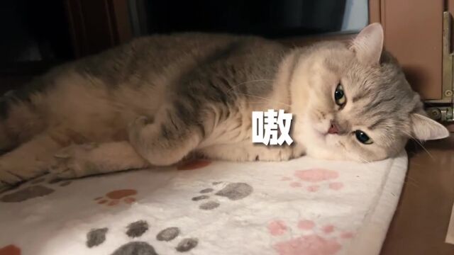 叽里咕噜说啥呢