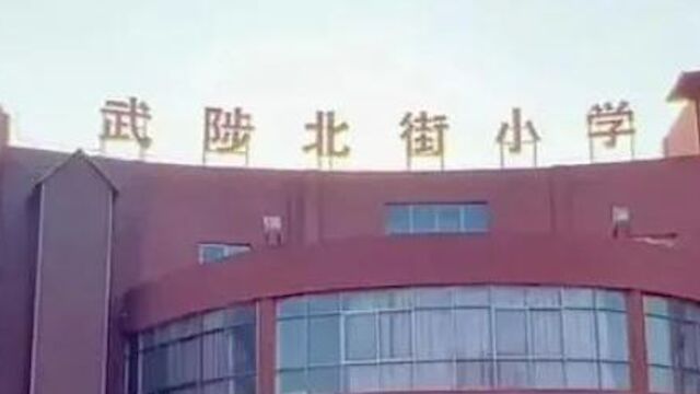 警方通报武陟一民办小学关闭:非法吸收公众存款 嫌疑人被执行逮捕