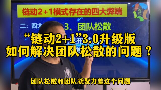 链动2+1模式3.0升级版软件开发如何解决团队松散的问题?