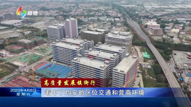 均安:构建大招商格局 再造一个产业新均安