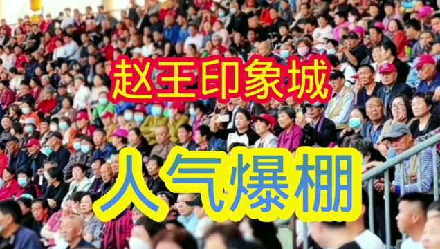 赵王印象城人气爆棚,马术表演精彩纷呈,您看了吗?