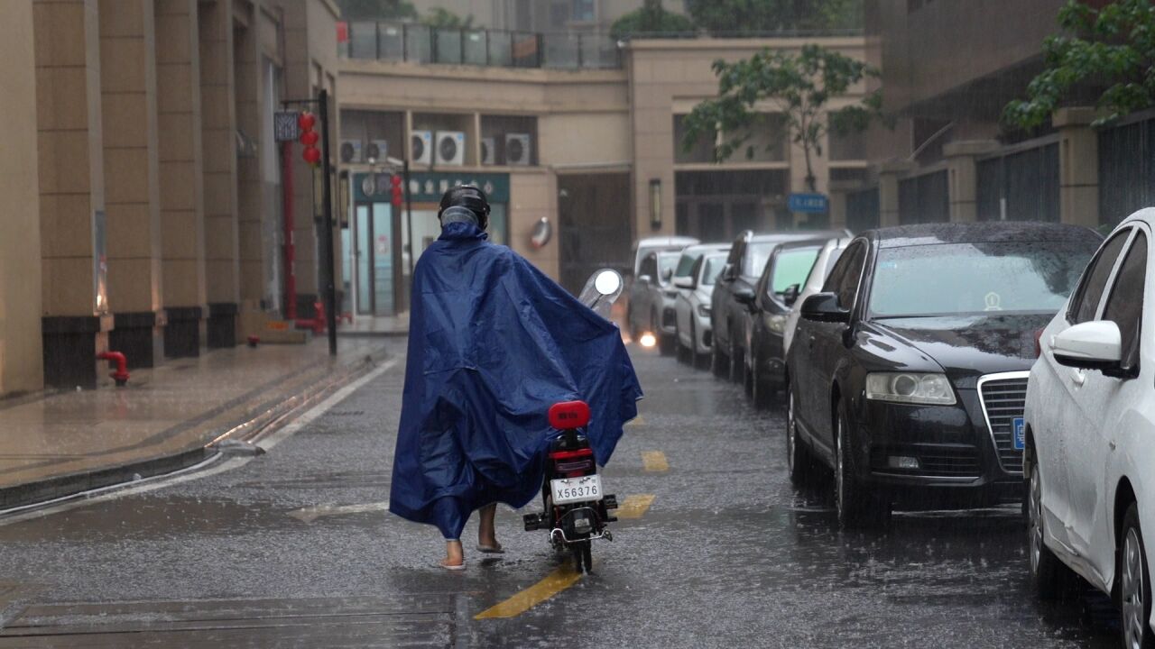 广州多区发布雷雨大风黄色预警,预计未来一周雷雨频繁