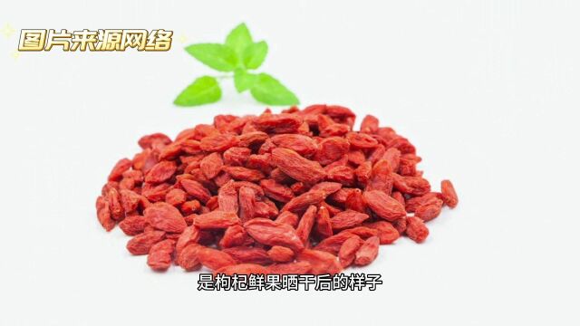 春天的野菜——枸杞芽采摘期到啦!