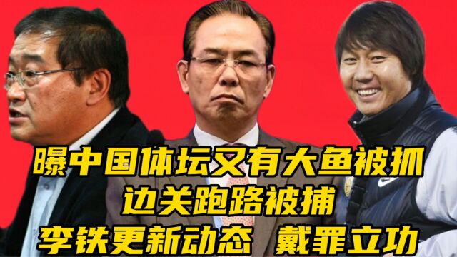 重大进展!曝中国体坛又有大鱼被抓,边关跑路被捕,李铁更新动态