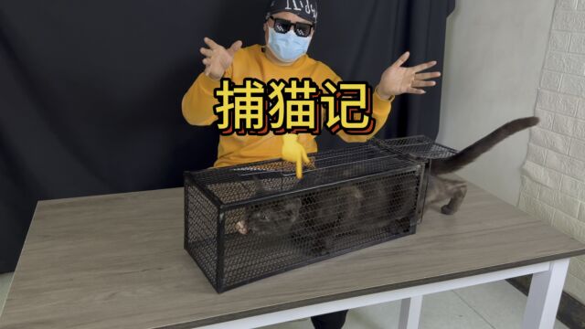 捕猫笼测评