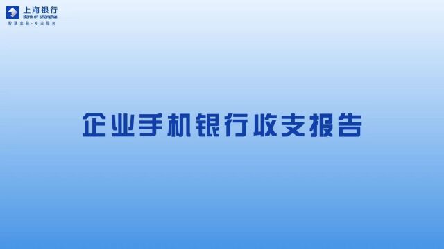 收支报告收支报告收支报告